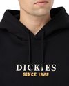 Dickies Park Hoodie (DK0A4YEHBLK1)