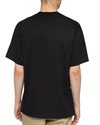 Dickies Paxico Tee (DK0A4YFIBLK1)