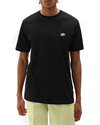 Dickies SS Mapleton T-Shirt (DK0A4XDBBLK1)