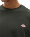 Dickies SS Mapleton T-Shirt (DK0A4XDBOGX1)