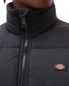 Dickies Waldenburg Jacket (DK0A4XP2BLK1)