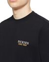 Dickies Westmoreland Tee (DK0A4YFMBLK1)