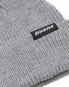 Dickies Woodworth Beanie (DK0A4X7YGYM1)