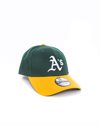 New Era Green Bay Packers (10517884)