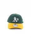 New Era Green Bay Packers (10517884)