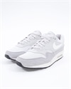 Nike Air Max 1 (AH8145-011)