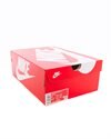 Nike Air Max 2090 (DH7708-003)