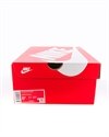 Nike Air Max 270 Vistascape (CQ7740-100)