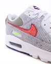 Nike Air Max 90 (CT1684-100)