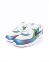 Nike Air Max 90 (CT5066-100)