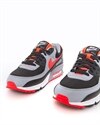 Nike Air Max 90 (CZ4222-001)