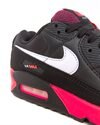 Nike Air Max 90 (DB3915-003)