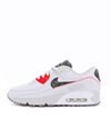 Nike Air Max 90 (DD0383-100)