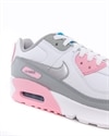 Nike Air Max 90 Leather (CD6864-004)