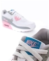 Nike Air Max 90 Leather (CD6864-004)