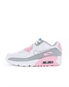 Nike Air Max 90 Leather (CD6864-004)