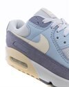 Nike Air Max 90 Premium (DM2829-001)