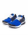 Nike Air Presto (CT3550-400)