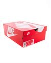 Nike Air Presto (CT3550-601)