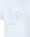Nike FFF Junior (CD1487-100)