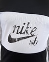 Nike SB Dry Men’S Mesh Top (AA1073-010)