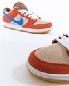 Nike SB Dunk Low Pro (BQ6817-201)