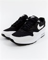 Nike Wmns Air Max 1 (319986-034)