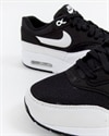 Nike Wmns Air Max 1 (319986-034)