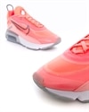 Nike Wmns Air Max 2090 (CT7698-600)