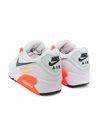 Nike Wmns Air Max 90 (CV8819-101)