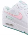 Nike Wmns Air Max 90 (DJ1493-100)