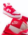 Nike Wmns Dunk Low Disrupt (CK6654-601)
