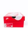 Nike Wmns Dunk Low Disrupt (CK6654-601)