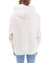 Nike Wmns Fleece Hoodie (CZ2590-113)