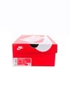 Nike Wmns Zoom Air Fire (CW3876-300)