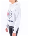 Reebok Classics Big Logo Fleece Hoodie (EB5136)