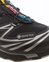 SALOMON XT-6 GTX (L47450600)