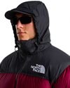 The North Face Nuptse Jacket 1996 Retro (NF0A3C8DRH1)