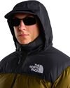 The North Face Nuptse Jacket 1996 Retro (NF0A3C8DRL5)