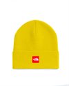 The North Face Red Box Beanie (NF0A8EG8NO7)