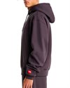 The North Face Red Box Hoodie (NF0A8EFZ0SA)
