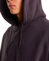 The North Face Red Box Hoodie (NF0A8EFZ0SA)